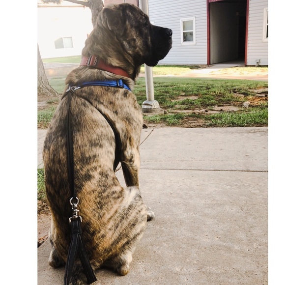 👀 READ MY BIO 💞😋 - Picture 2 of 3